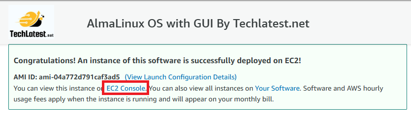 /img/aws/almalinux/deployed.png