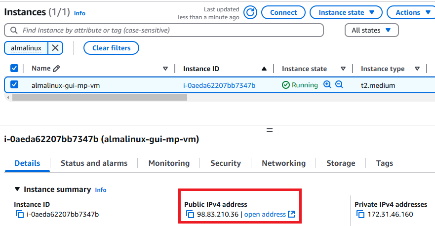 /img/aws/almalinux/public-ip.png