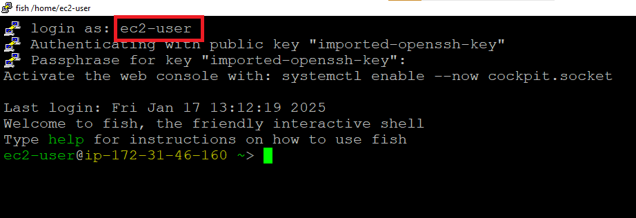 /img/aws/almalinux/ssh-login.png