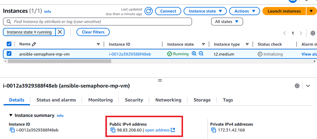 /img/aws/ansible-semaphore/public-ip.png