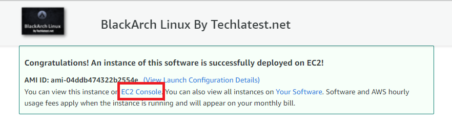 /img/aws/blackarch-linux/deployed.png