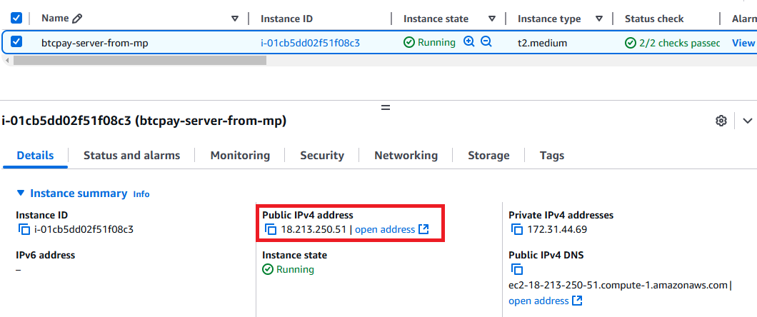 /img/aws/btcpay-server-with-bitcoin-fullnode/dns-name-02.png