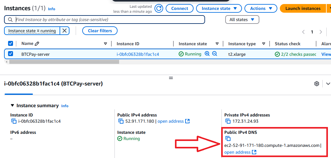 /img/aws/btcpay-server-with-bitcoin-fullnode/dns-name.png