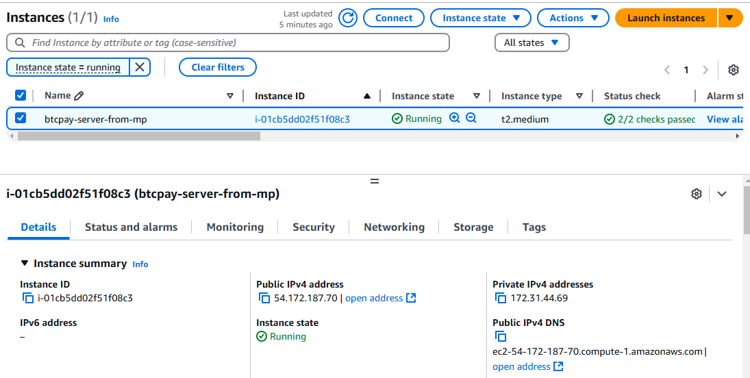 /img/aws/btcpay-server-with-bitcoin-fullnode/public-ip.png