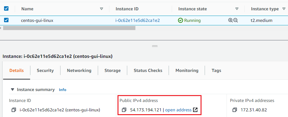 /img/aws/centos-gui-linux/public-ip.png