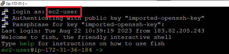 /img/aws/centos-gui-linux/ssh-ec2-user-login.png