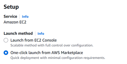 /img/aws/crewai-vm/launch.png