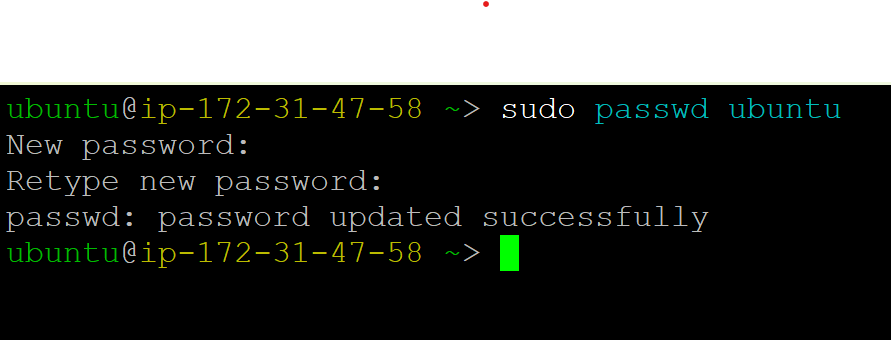 /img/aws/crewai-vm/passwd-update.png