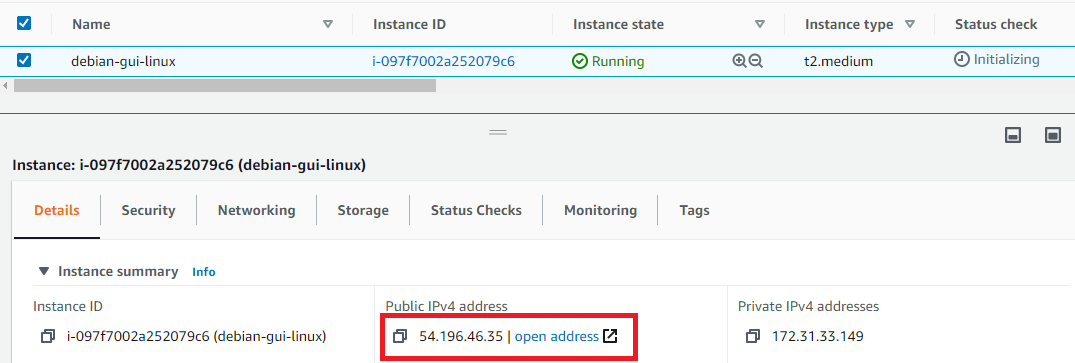 /img/aws/debian-gui-linux/public-ip.png
