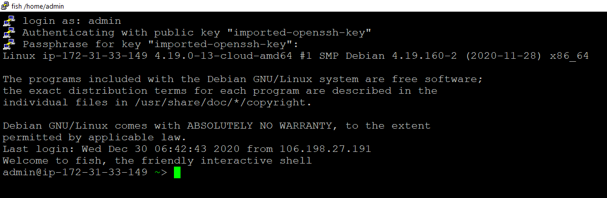 /img/aws/debian-gui-linux/ssh-admin-login.png