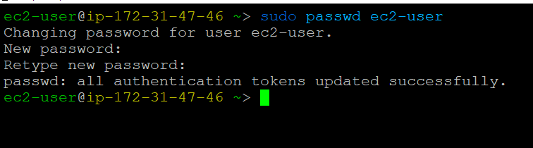 /img/aws/desktop-linux-redhat/ec2-user-passwd.png
