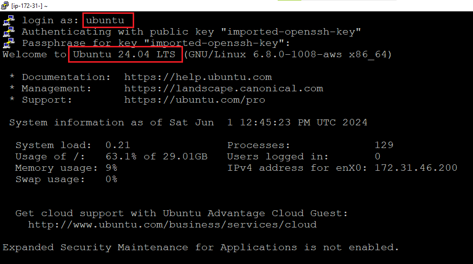 /img/aws/desktop-linux-ubuntu2404/ssh-login.png