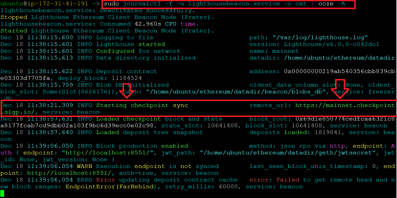 /img/aws/ethereum-fullnode/checkpoint-sync-enabled.png