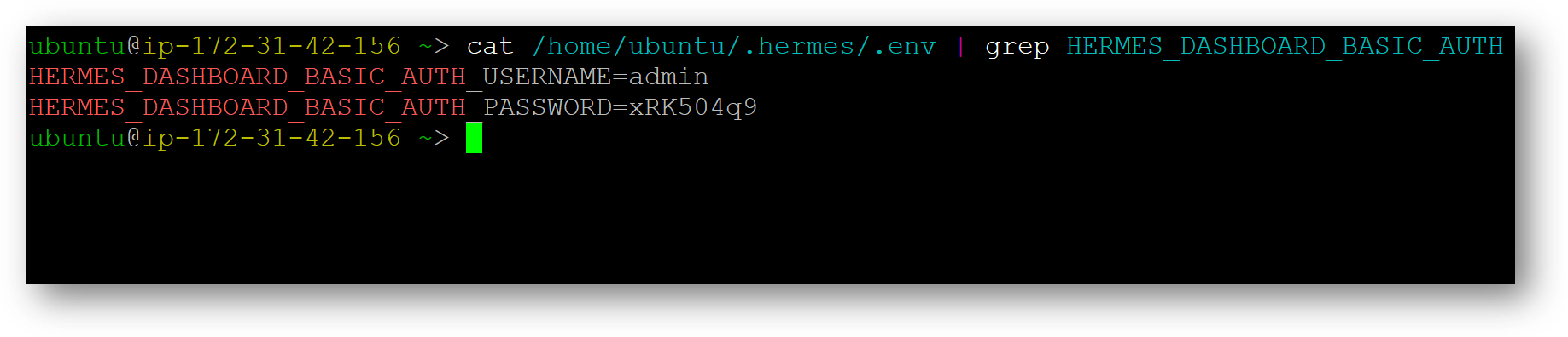 /img/aws/hermes-agent/hermes-password.png