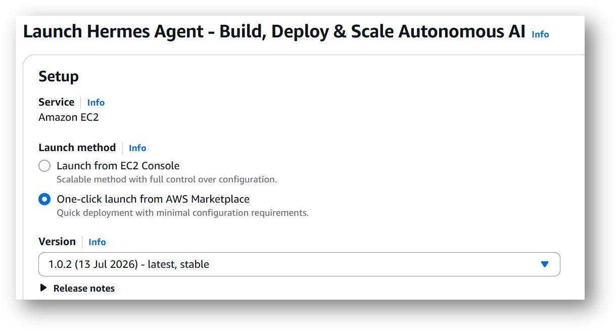 /img/aws/hermes-agent/launch.png