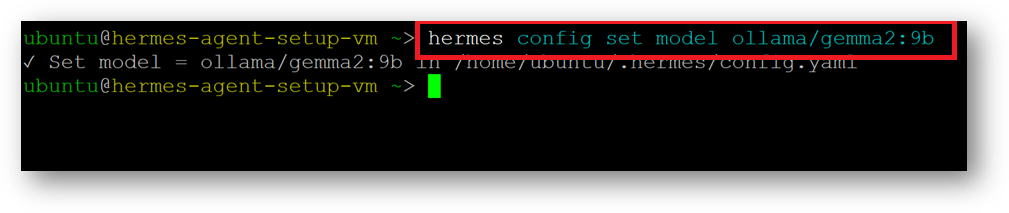 /img/aws/hermes-agent/switch-model-from-cli.png