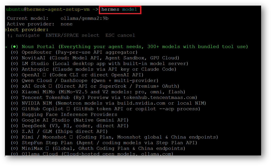 /img/aws/hermes-agent/switch-to-llm-provider.png