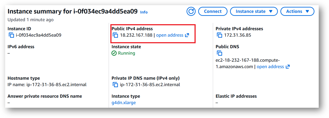 /img/aws/llama-factory/public-ip.png
