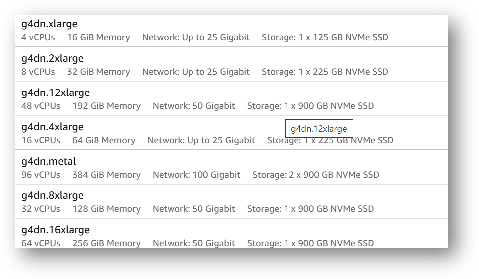 /img/aws/local-ai-vm/gpu.png