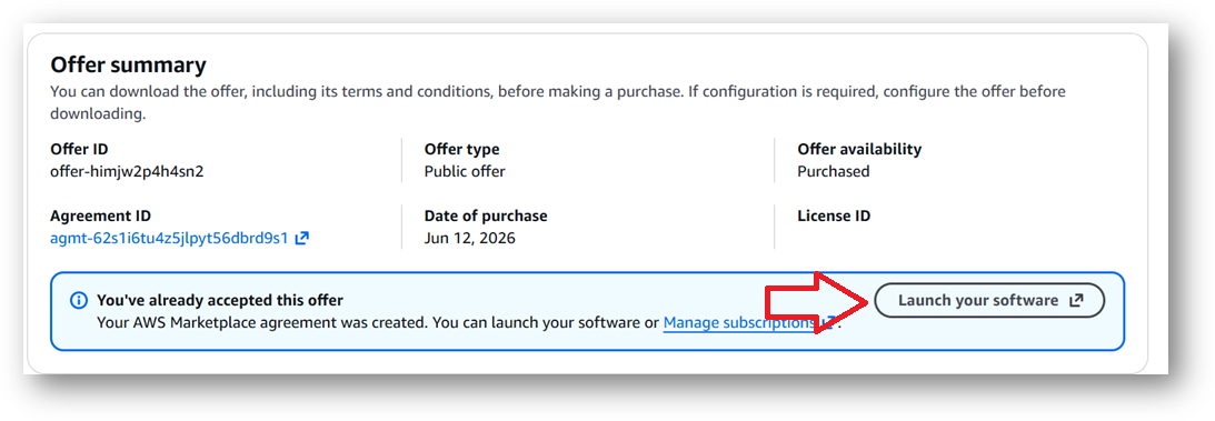 /img/aws/local-ai-vm/launch-your-software.png