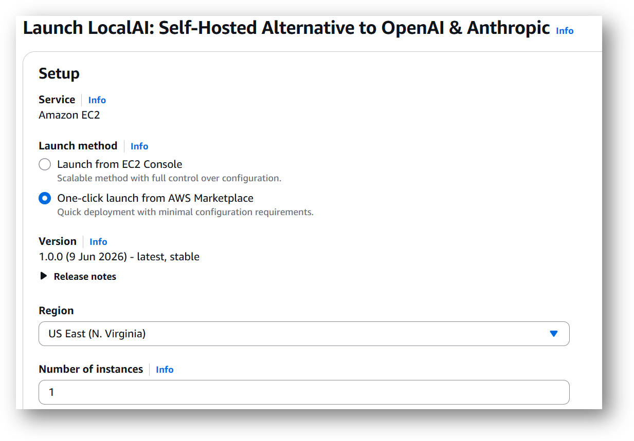/img/aws/local-ai-vm/launch.png