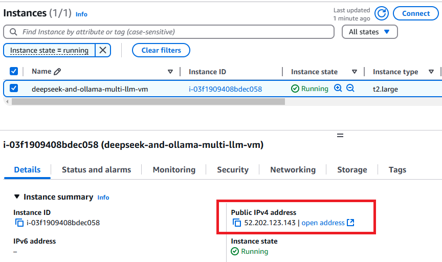 /img/aws/multi-llm-vm/public-ip.png