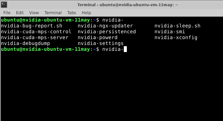 /img/aws/nvidia-ubuntu/nvidia-utilies.png