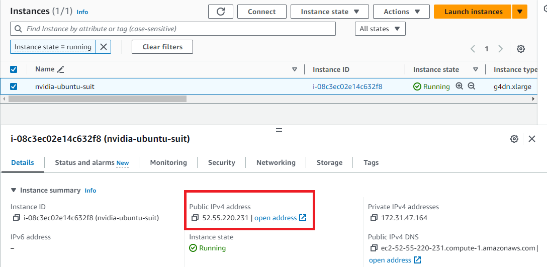 /img/aws/nvidia-ubuntu/public-ip.png