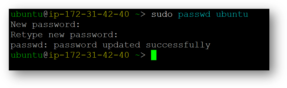 /img/aws/open-notebook-vm/update-passwd.png