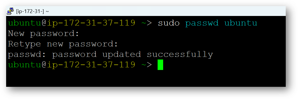 /img/aws/openclaw-vm/update-passwd.png