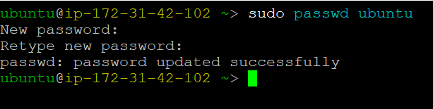 /img/aws/private-gpt-vm/update-passwd.png