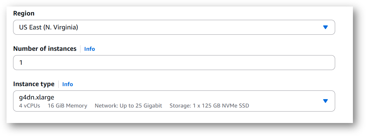 /img/aws/ragflow-vm/gpu-instance.png
