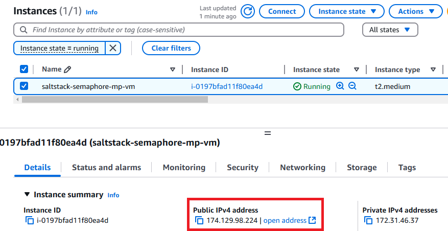 /img/aws/saltstack-semaphore/public-ip.png