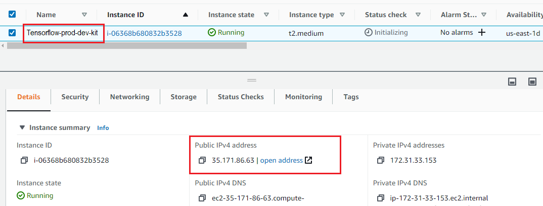/img/aws/tensorflow/public-ip.png
