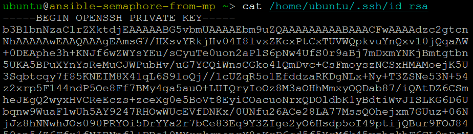 /img/azure/ansible-semaphore-vm/cat-existing-private-key.png