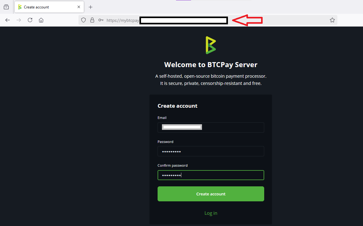 /img/azure/btcpay-server-with-bitcoin-fullnode/access-btc-pay-with-dns.png