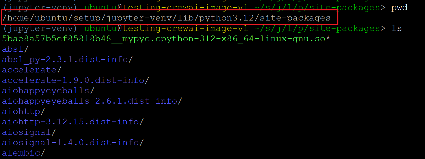 /img/azure/crewai-vm/default-package-location.png