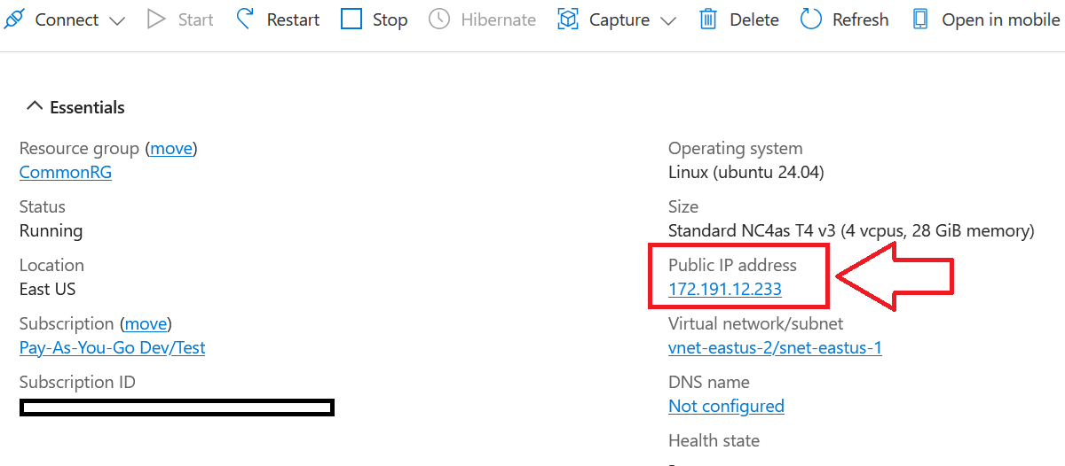 /img/azure/crewai-vm/public-ip.png
