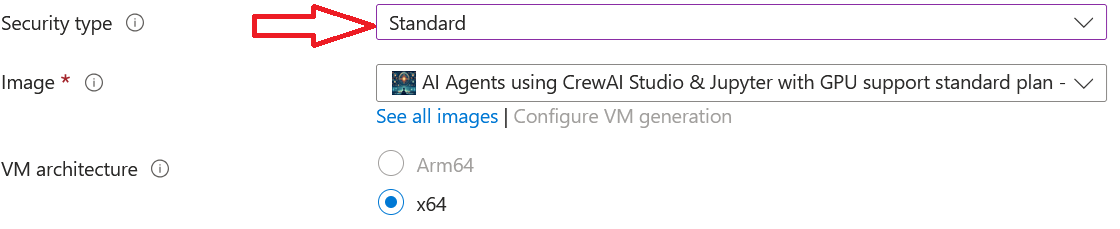 /img/azure/crewai-vm/standard-security-type.png