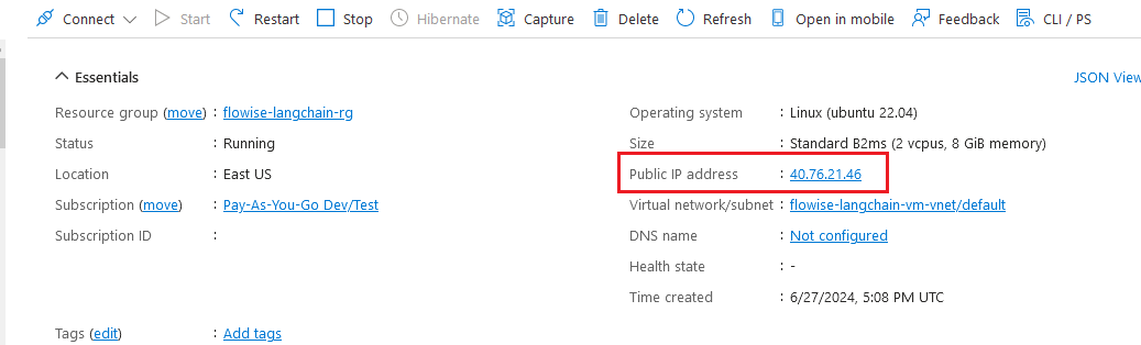 /img/azure/flowise-langchain/public-ip.png