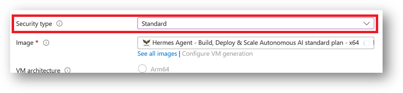 /img/azure/hermes-agent/standard-security-type.png