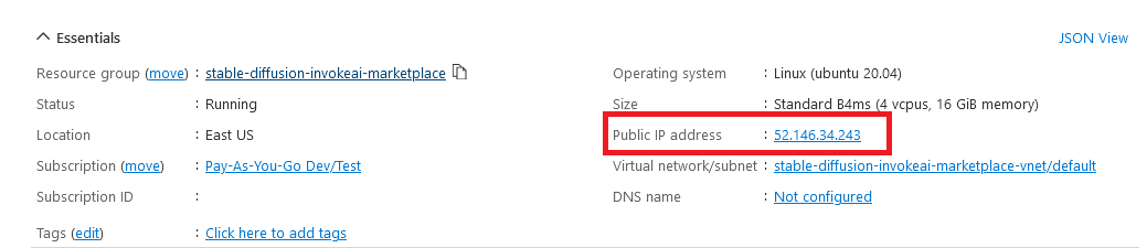 /img/azure/invoke-ai/public-ip.png