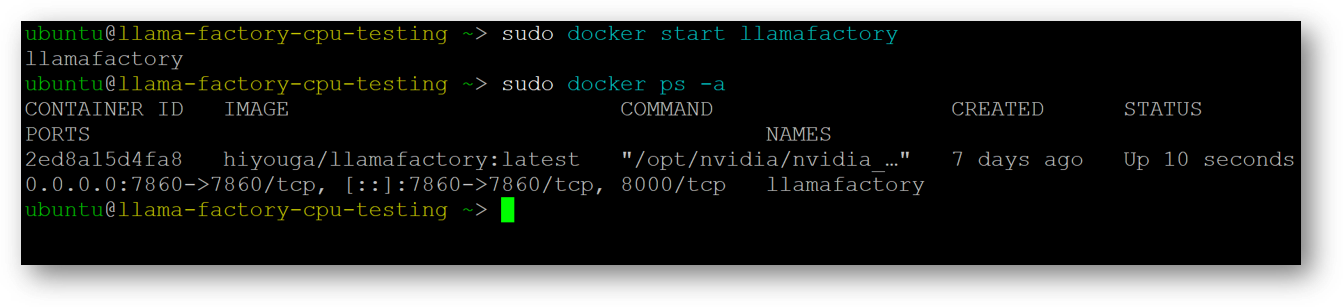 /img/azure/llama-factory-vm/start-container.png