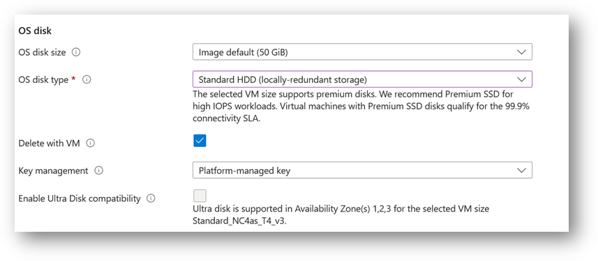 /img/azure/local-ai-vm/disk.png