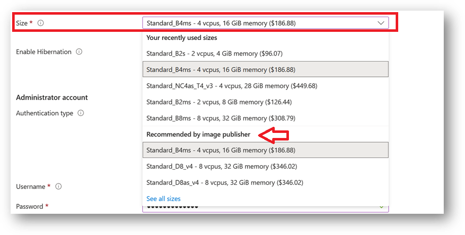 /img/azure/local-ai-vm/instance.png