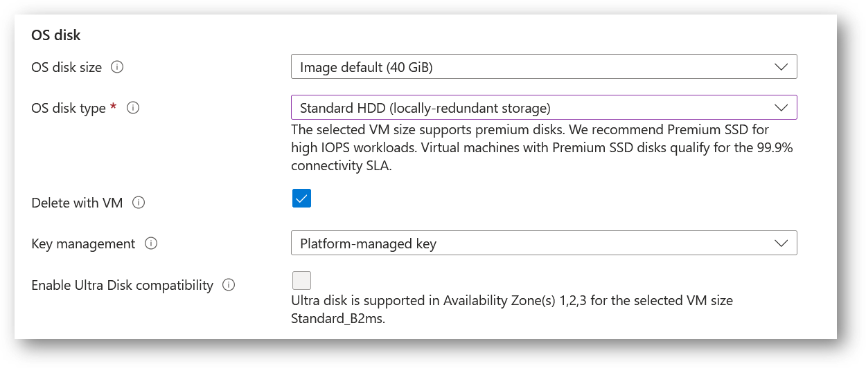 /img/azure/milvus-vm/disk.png