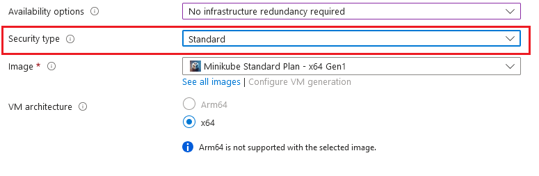 /img/azure/minikube/standard-security-type.png