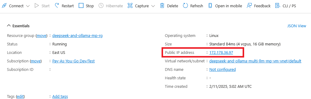/img/azure/multi-llm-vm/public-ip.png