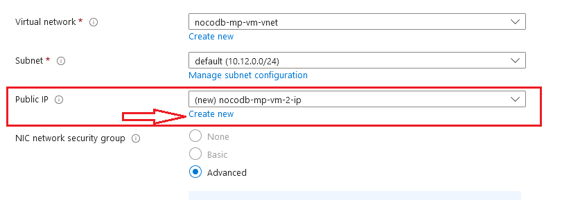 /img/azure/nocodb/create-new-public-ip.png