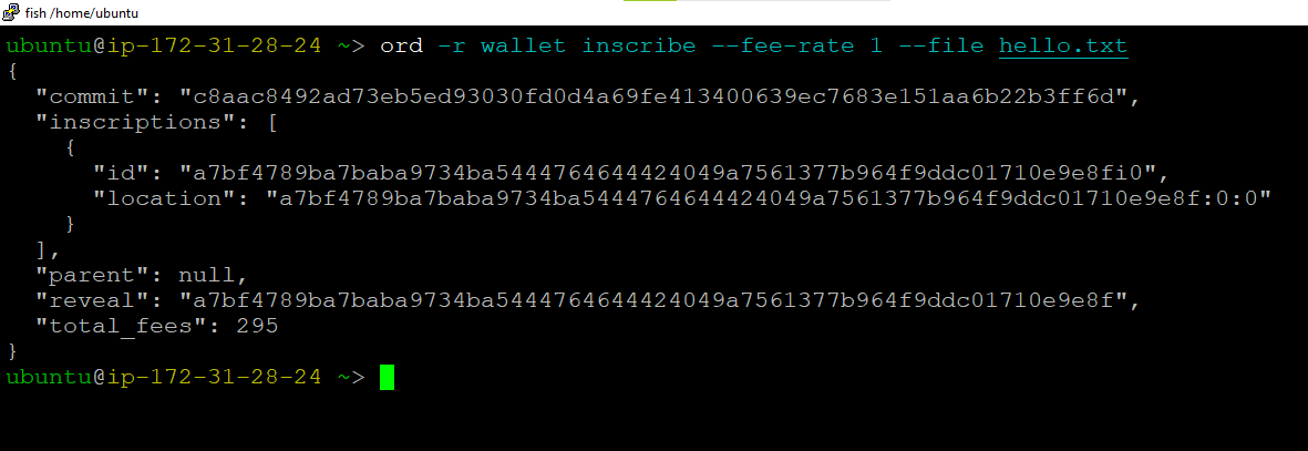 /img/common/ordinal_inscription_guide/r-wallet-inscribe.png